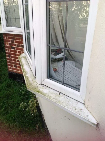 Window Conservatory Roof Cleaning New Malden Window Conservatory Roof Cleaning New Malden