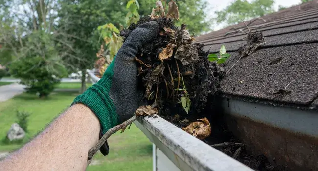 Gutter Cleaning Epsom