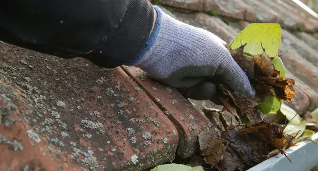 Gutter Cleaning Epsom