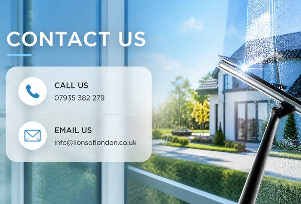 Clean residential windows after a professional window cleaning service